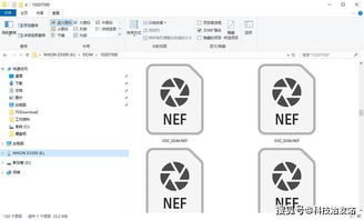 WIN10怎样显示NEF缩略图