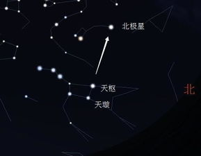 观察夜晚的天空 找一找大熊座,北斗星,北极星 并把它们记录下来 