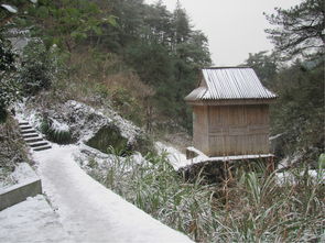 水瓶衡山漂流记