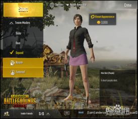  pubg国际服下载入口,PUBG国际服下载入口 法规