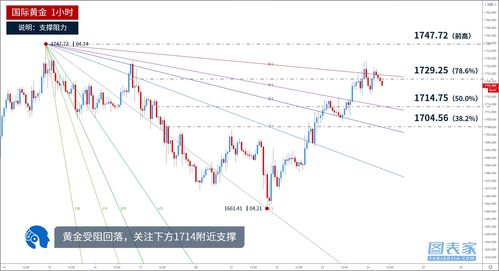 金价创新高后迅速回落，黄金还能不能买？最新分析