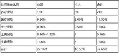 如何根据工资计算社保缴费？