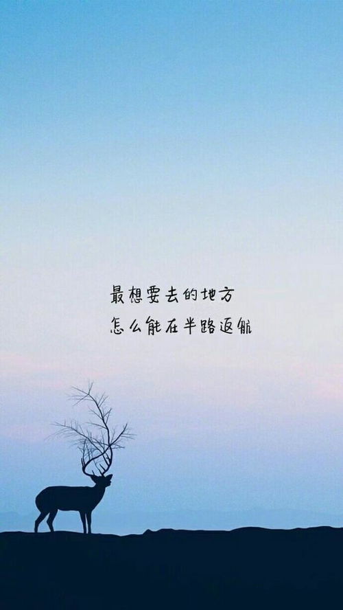 不会离开你的情话句子