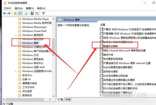 surface如何禁止更新win10