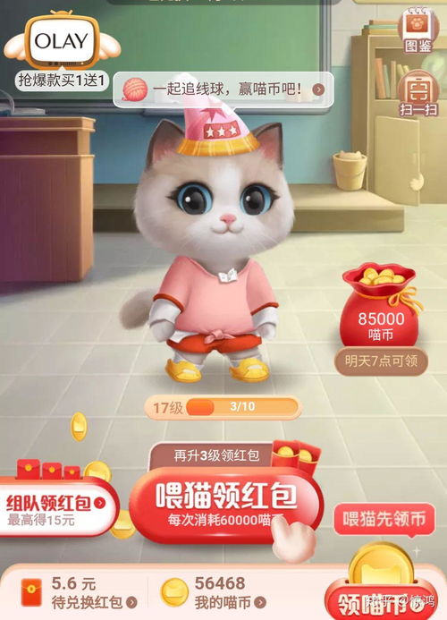 猫币攻略,什么是猫币? 猫币攻略,什么是猫币? 应用