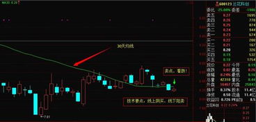 线上阴线买 线下阳线卖 的意思？