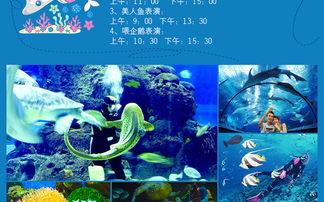 南京海底世界门票,南京海底世界门票优惠