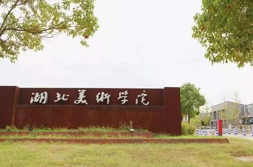 湖北唯一以 美术 命名的大学,艺术生的好去处,可惜鲜有人知