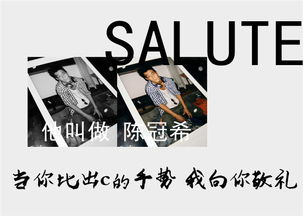 salute 敬礼