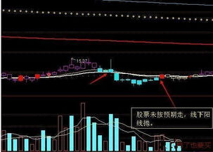 股市亏钱了， 生存压力很大。 后期的路怎么设计？