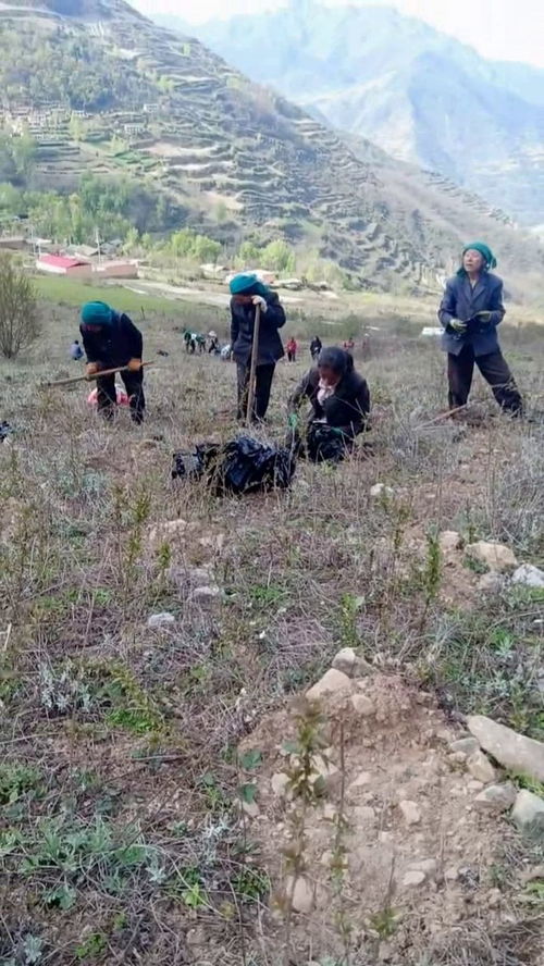 山里人该如何靠山走上致富之路呢