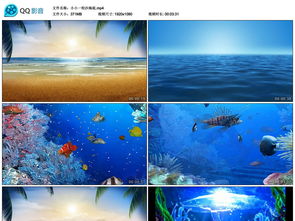 梦幻海底背景-图片欣赏中心-急不急图文-JPJWW.COM