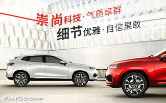 中国新能源汽车品牌排行榜前二十名,中国