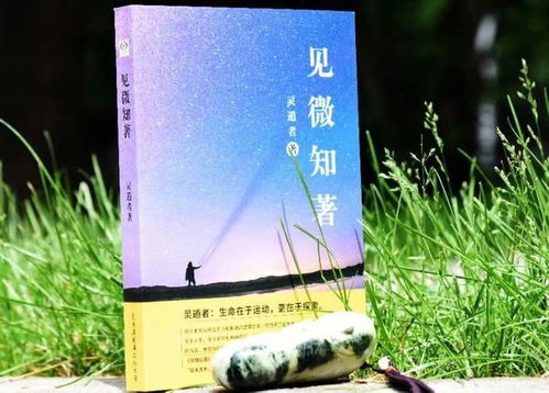 《她见青山 阿司匹林免费阅读》 / 她见青山 阿司匹林免费阅读最新章节全文阅读插图3