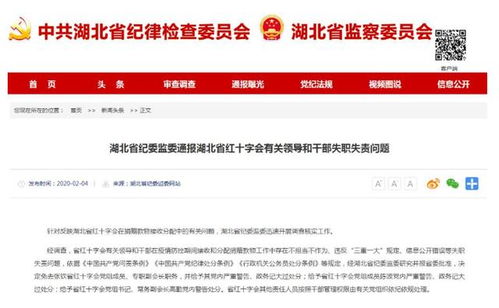 湖北省红十字会三名领导被问责