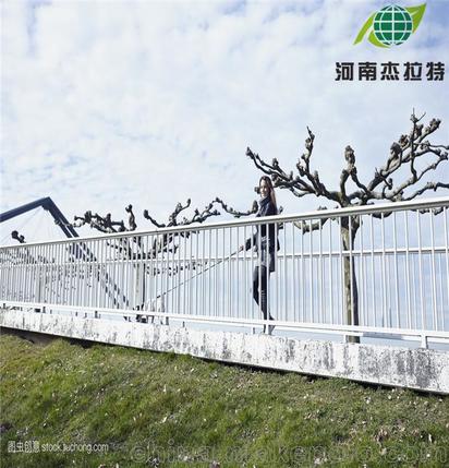 人行天桥护栏不锈钢防护栏杆大桥护栏