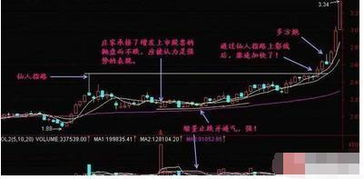 中国股票市场的选股原则