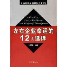 左右企业命运的12大选择 企业经营关键问题解决方案书系 企业经营关键问题解决方案书系