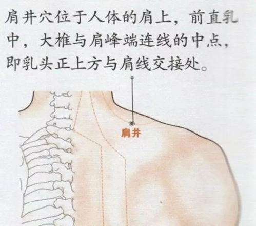 肩膀酸痛,按摩没有任何效果 3个穴位教你快速缓解