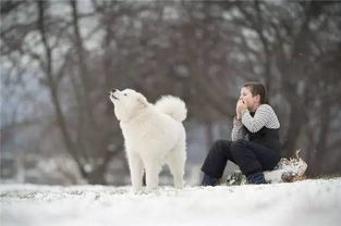 在一个美丽的下雪天,男孩静静的吹着口琴给狗狗听 