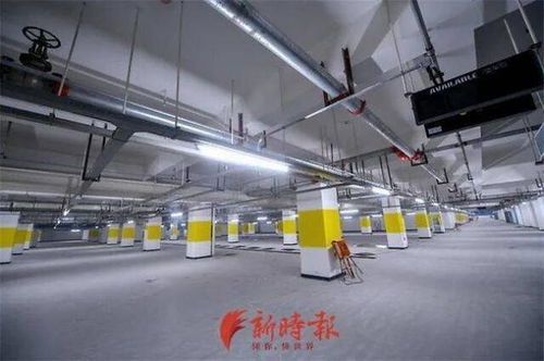 停车场基础是什么意思(停车场基础施工方案)