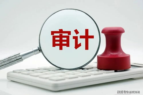 企业为什么要出审计报告 企业为什么要做审计