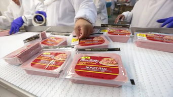 食品公司形象片养殖场猪肉加工模板素材 高清格式下载 视频104.87MB 实拍视频 实拍视频大全 