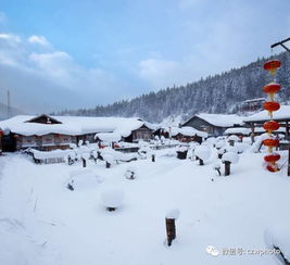 冬季去东北旅游摄影注意事项 