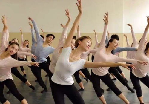 舞蹈集训艺考,哪里有高考艺考舞蹈培训的地方，帮帮忙吧！