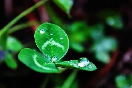 那年雨季