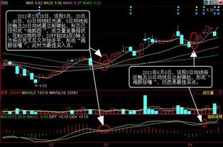 求通达信系统5日均线反身向上盘中预警公式