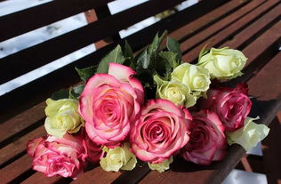 玫瑰花花语文案,浪漫之花，玫瑰物语解锁玫瑰花束的神秘语言