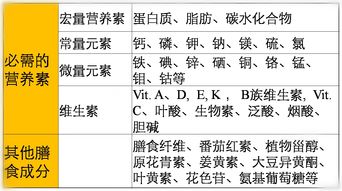 谷类营养价值介绍_谷类提供的主要营养成分是什么