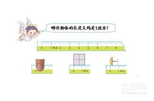 一公分等于多少厘米 图片搜索