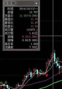 七匹狼股票2021最高点