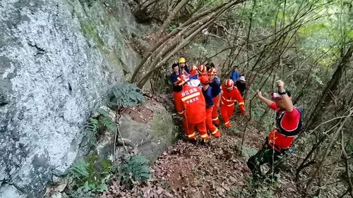 宁波奉化 50人驴友团遭遇马蜂被袭 一人失足被困 众人合力两小时火线营救 