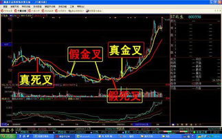 请高人帮写个通达信成交量5.10.20多头排列和空头排列和金叉的选股公式，谢谢