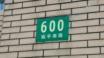宛平南路600号是什么梗,到上海市精神卫生中心(上海市徐汇区宛平南路600号)八号线乘到哪一站下来?