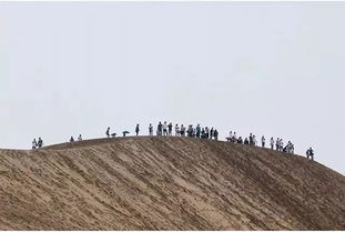 和90万人同游兵马俑,去日本就看了个小土坡 最作死的国庆打开方式有几种