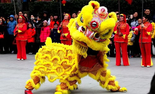 临沂春节旅游来这里 7D玻璃桥 高空秋千 玻璃滑道,来挑战吧