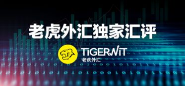 想在TigerWit老虎外汇上炒黄金，手续费贵吗？