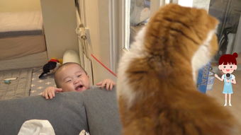 猫咪和宝宝的第一次相遇,猫咪眼神太逗了,好奇的高冷喵