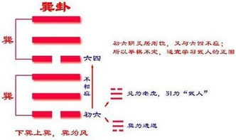 易经57卦 巽卦详解