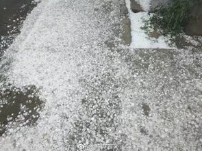 真任性 内蒙古三伏天结冰 下雪 下冰雹,还有地方热成狗