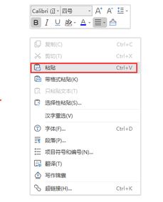 wps名字怎么复制 wps名字怎么复制粘贴文字