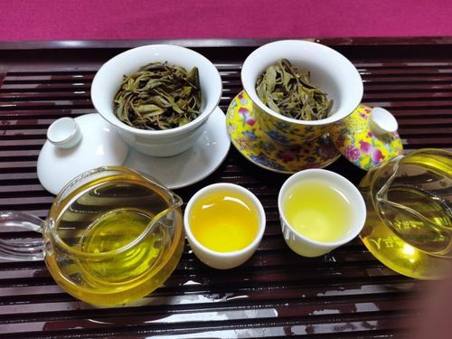 普洱茶春茶和秋茶之分,你们了解吗