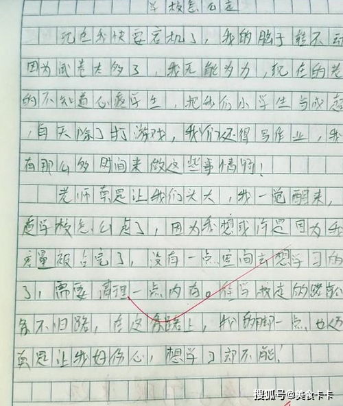 哥哥是射击*来学校找弟弟,小学三年级作文250字:烦人的哥哥