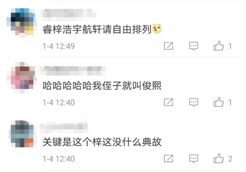 园洲20后都喜欢起什么名字