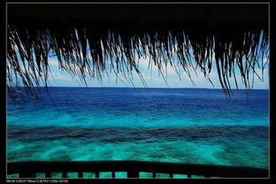 马尔代夫月桂岛的最新旅游报价有多少