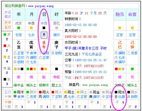 农历1984年腊月23日子时出生的是什么命,五行缺什么